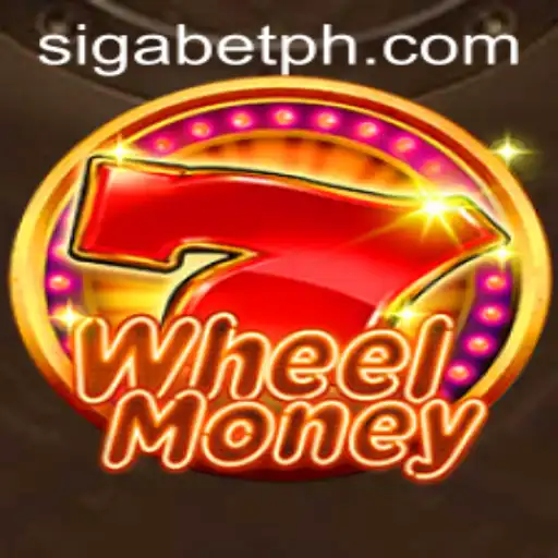 Exploring the WheelMoney Game